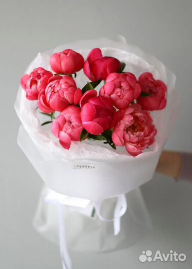 Пионы корал шарм