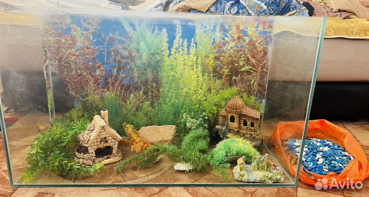 Аквариум