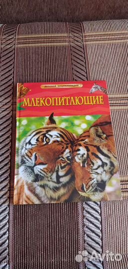 Детские книги энциклопедии про животных