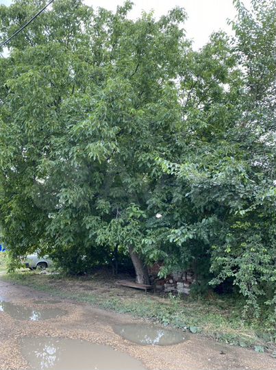 Участок 5,6 сот. (ИЖС)