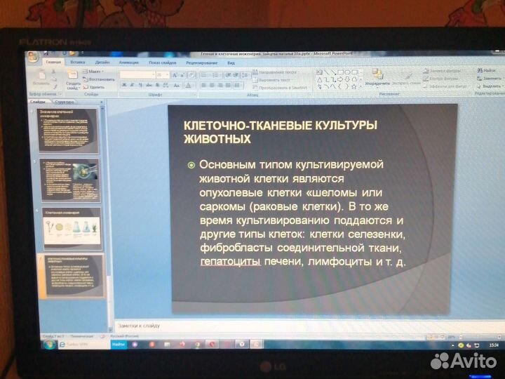 Проекты, презентации, доклады, конспекты и т. д