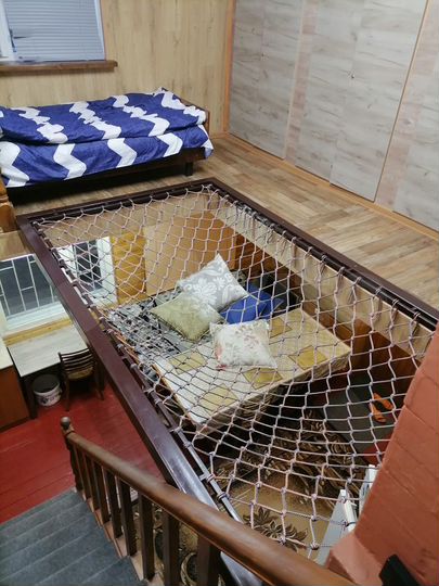 Дом 80 м² на участке 6 сот.