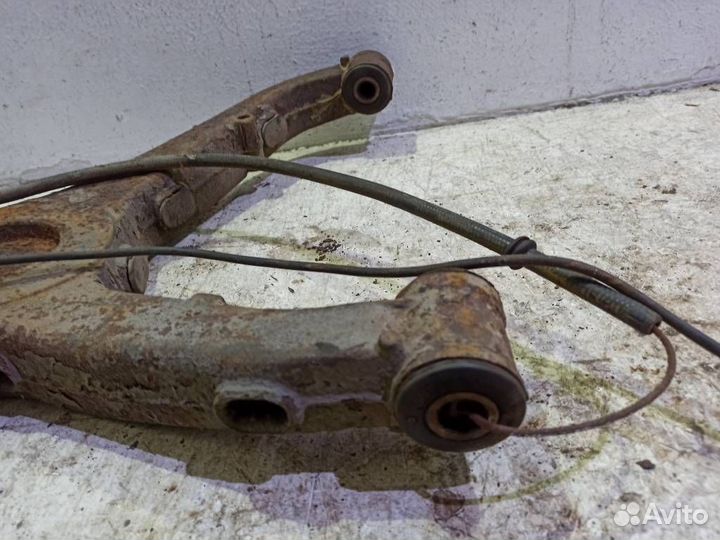 Кулак задний правый