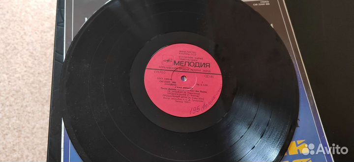 Виниловые пластинки поёт як йоала