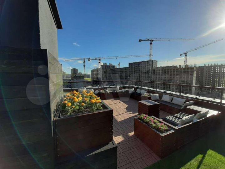 Квартира-студия, 24,2 м², 8/12 эт.