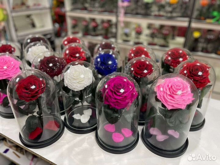 Роза в колбе king