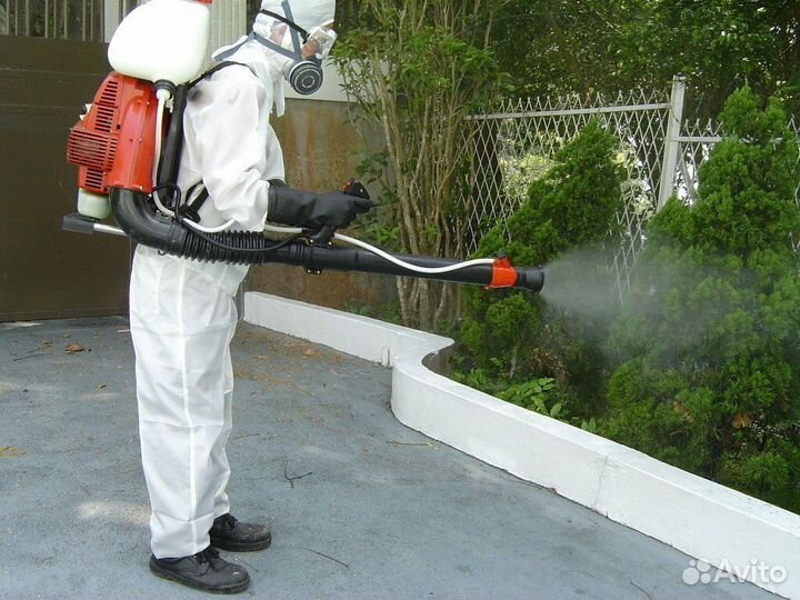 Обработка дачных участков от клещей, комаров, ос