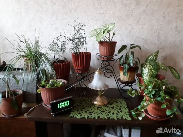 Полки для цветов, подставки, горшки