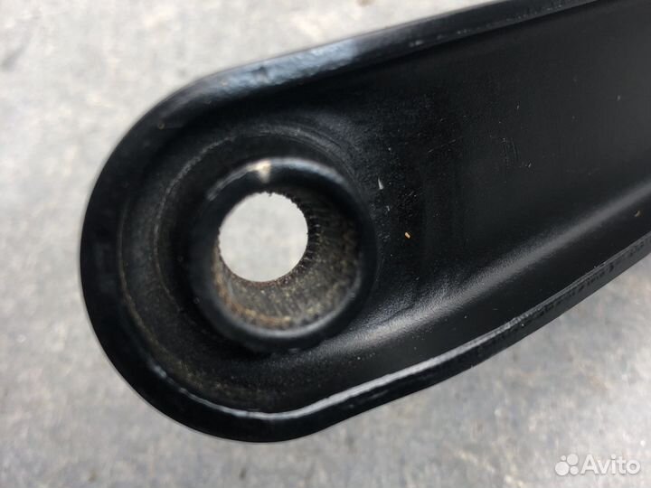 Лев дворник Фьюжен