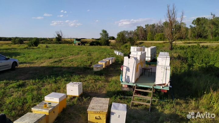 Мед со своей пасеки