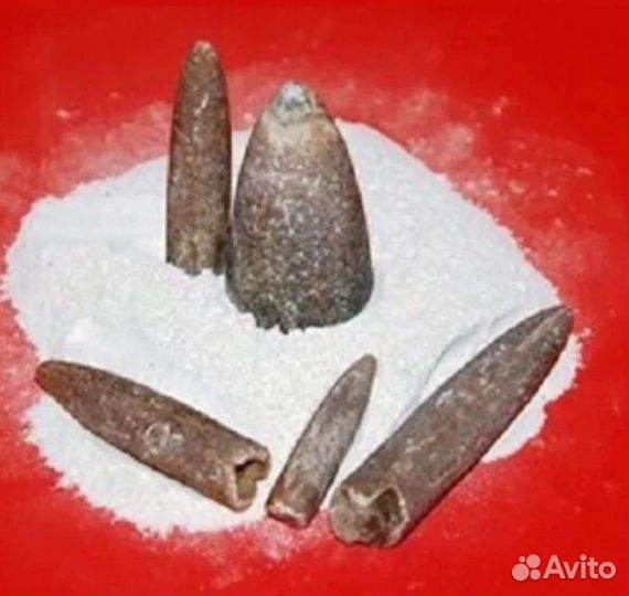 Белемниты, Чертов палец