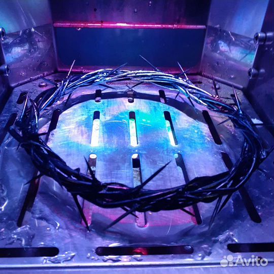 Терновый венец