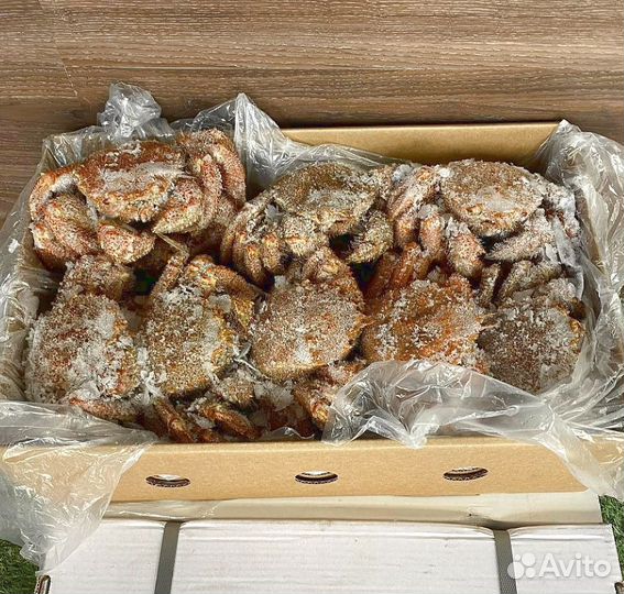 Краб Волосатик