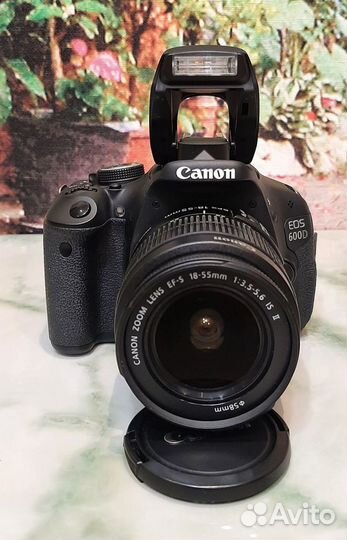 Canon EOS 650D 18-135 STM / Canon EOS 600D 18-55