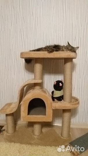 Игровой спорт комплекс для кошек и котов