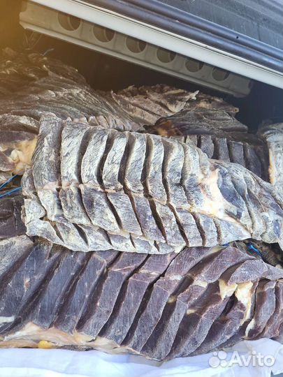 Мясо колбаса