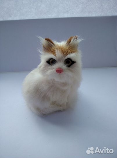 Котенок сидящий