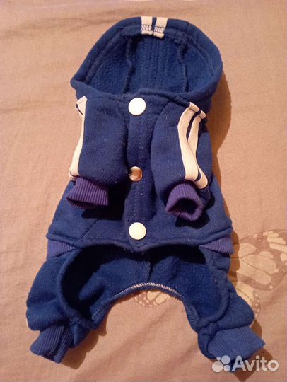 Комбинезон для маленькой собачки