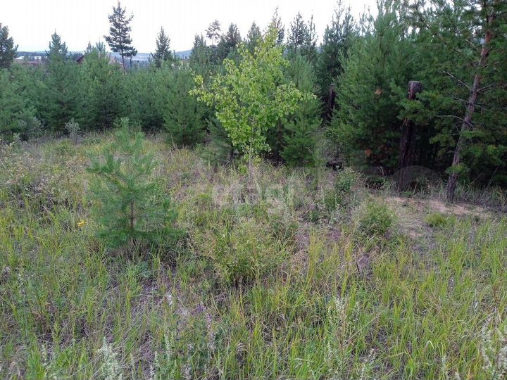 Участок 7,5 сот. (ИЖС)