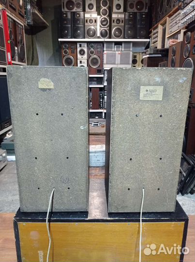 Колонки вега 50ас 106