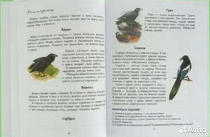 Жукова Н.С первая книга после букваря