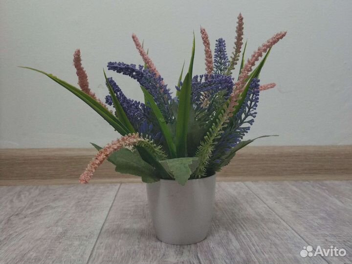 Декоративная лаванда