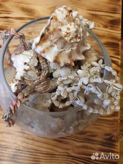 Интерьерная ваза с морскими раковинами