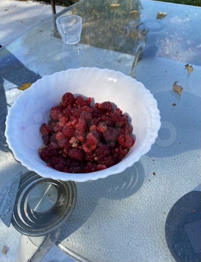 Участок 10,6 сот. (СНТ, ДНП)