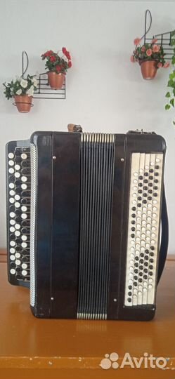 Баян тульский