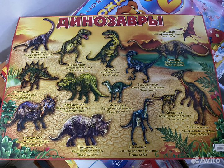 Образовательные плакаты