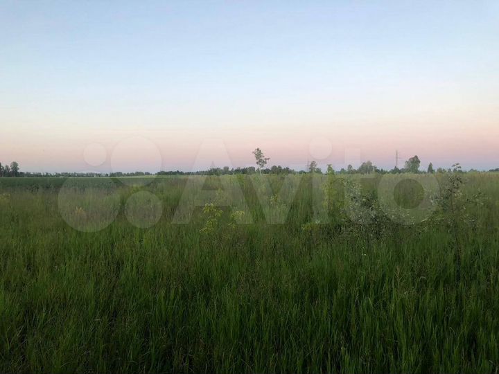 Участок 24 сот. (ИЖС)