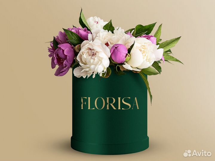 Разработка логотипа, графический дизайн, брендинг