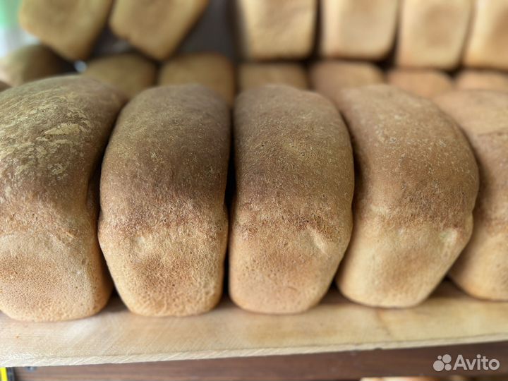 Хлеб для корма животных