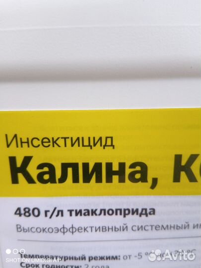 Калина (Калипсо)