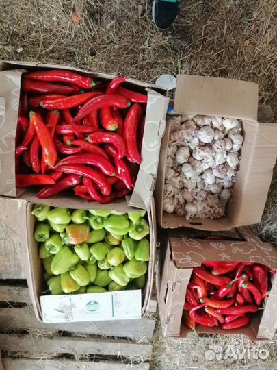 Овощи для животных