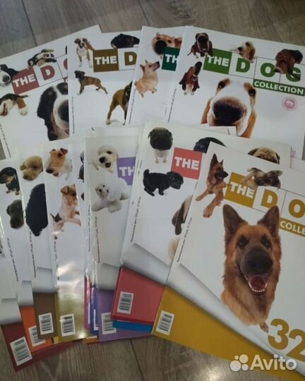 The dog collection