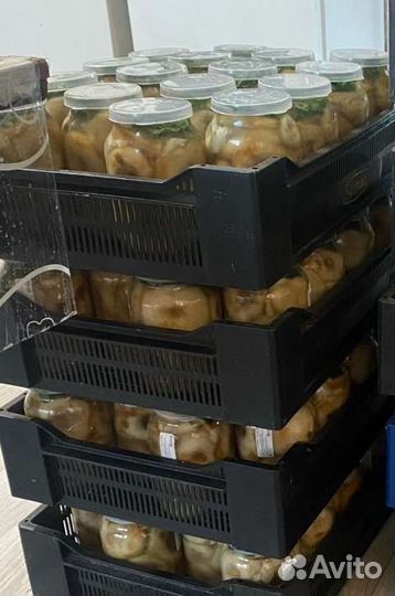 Грузди солёные