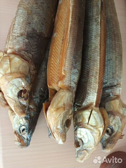 Продаются копченые спинки муксуна, чира