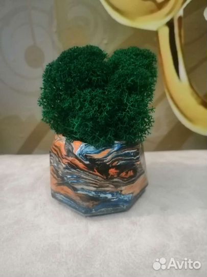 Гипсовое кашпо с натуральным мхом