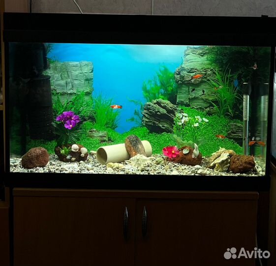 Аквариум полный комплект с рыбками