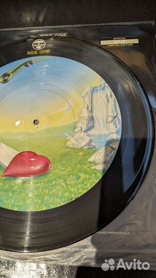 Коллекция виниловых пластинок heart