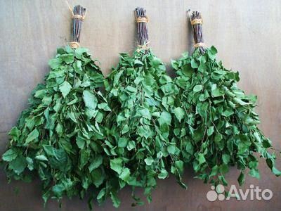 Веники березовые для бани