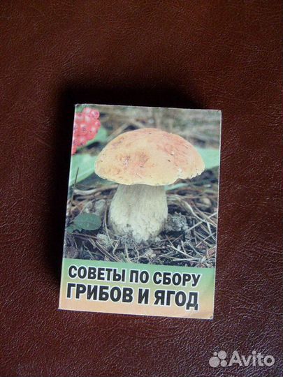 Советы по сбору грибов и ягод