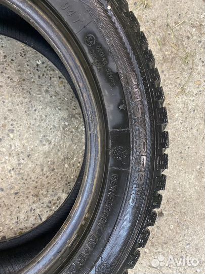 Maxxis Premitra Ice Nord NP5 205/55 R16