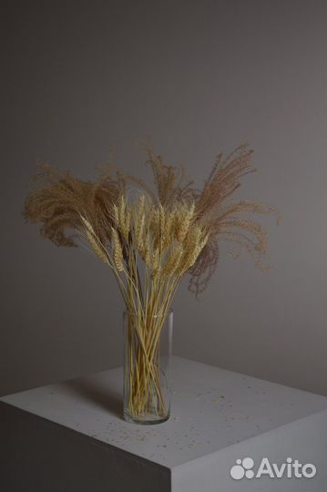 Сухоцветы, листья пальмы,пампасная трава,вейник