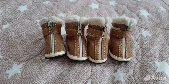 Обувь для собак