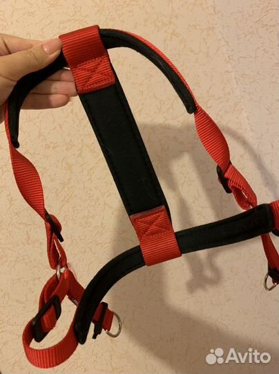 Шлейка для собаки