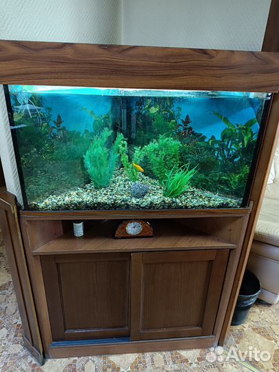 Аквариум угловой с тумбой