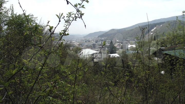 Участок 6 сот. (СНТ, ДНП)