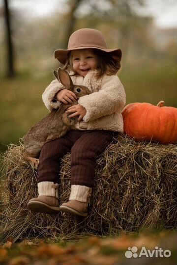 Кролики / аренда / продажа